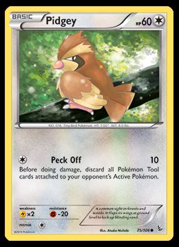 75/106 Pidgey