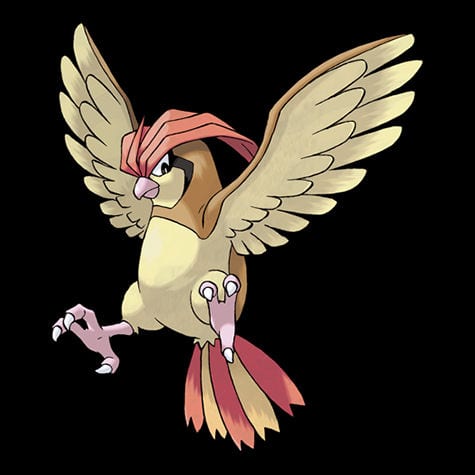 Pidgeotto Pokédex