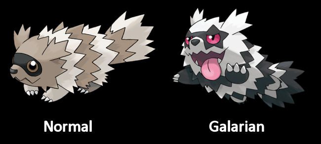 Zigzagoon normal and Galarian Pokémon form