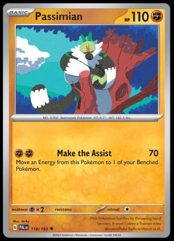 118/193 Passimian