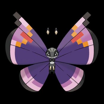 Vivillon Elegant Pattern