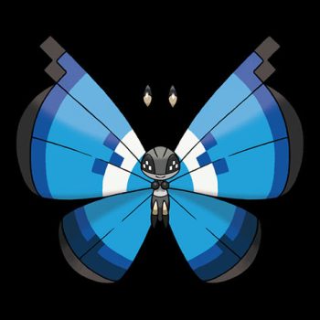 vivillon Marine Pattern