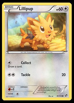 81/114 Lillipup