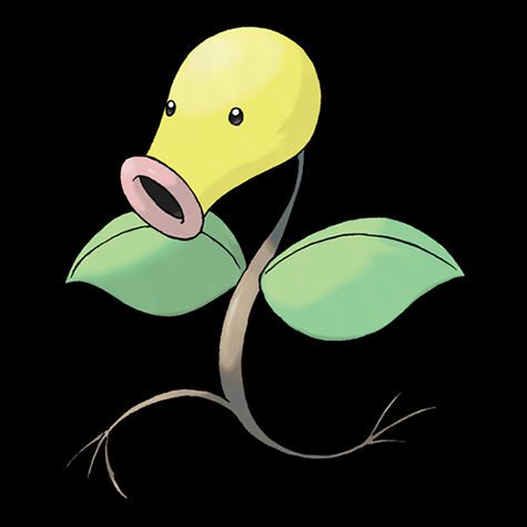 Bellsprout Pokédex