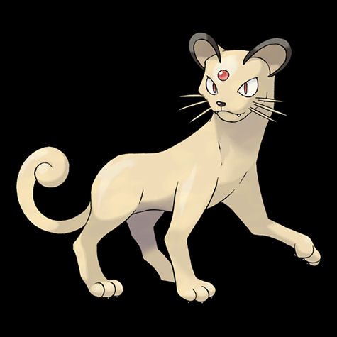 Persian Pokémon