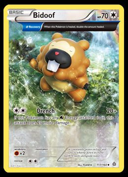 117/160 Bidoof