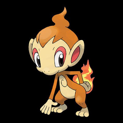 Chimchar Pokémon