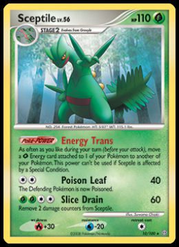 10/100 Sceptile