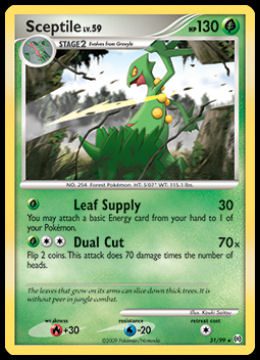 31/99 Sceptile