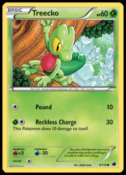 6/116 Treecko