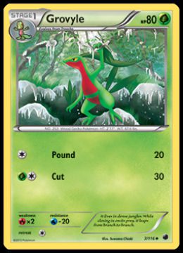 7/116 Grovyle