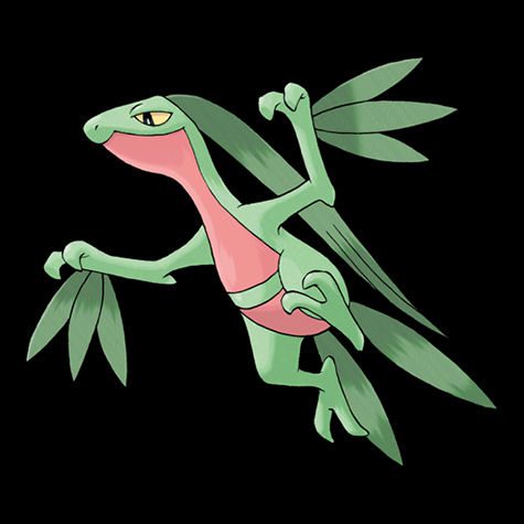 Grovyle Pokédex