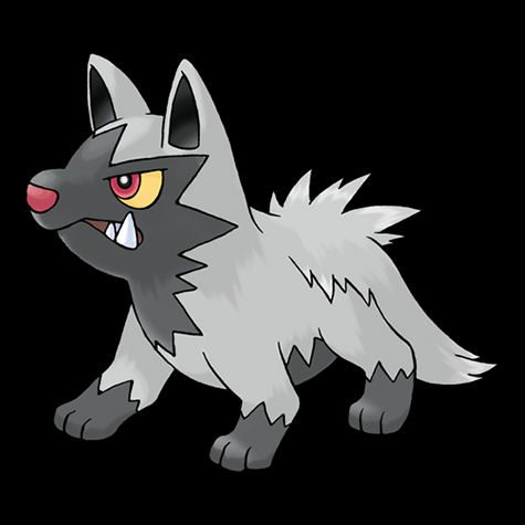 Poochyena Pokédex 0261 & Card List - Coded Yellow