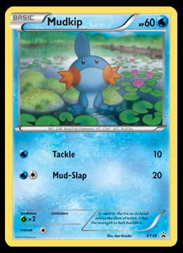 XY38 Mudkip