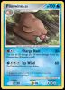 69/146 Piloswine