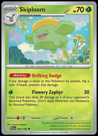 002/193 Skiploom