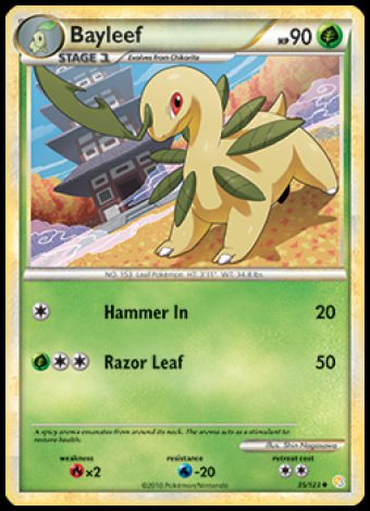 35/123 Bayleef