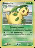 41/123 Bayleef