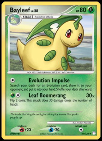 41/123 Bayleef