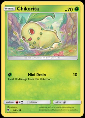 6/214 Chikorita