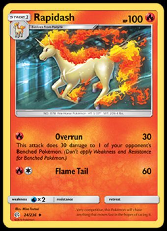 24/236 Rapidash