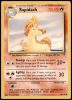 60/110 Rapidash