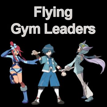 Flying Gym Leaders and Elite Four