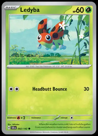 002/142 Ledyba